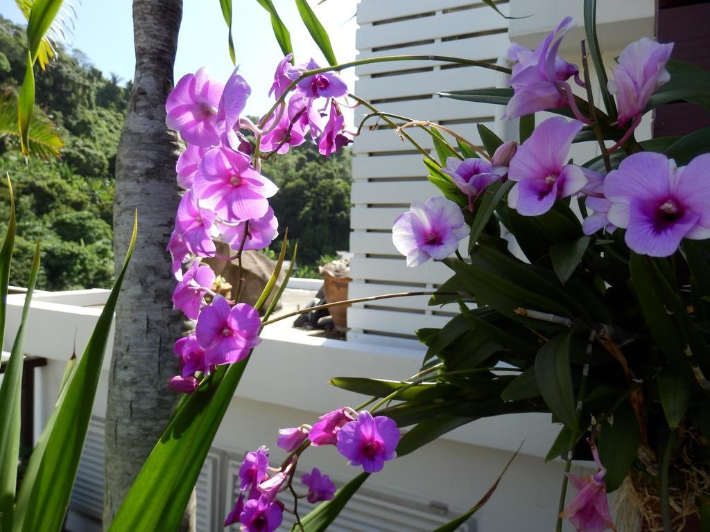 Kata Beach Studio Exterior foto
